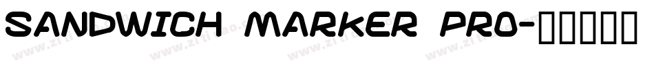 Sandwich Marker Pro字体转换